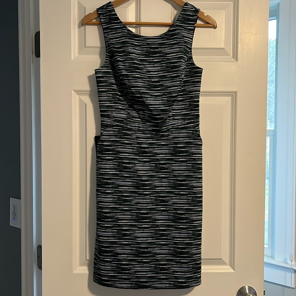 The Limited Dress